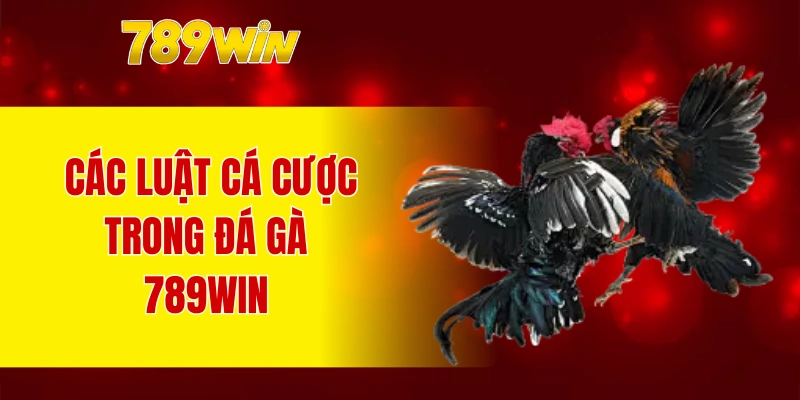 Các luật cá cược trong đá gà 789WIN 