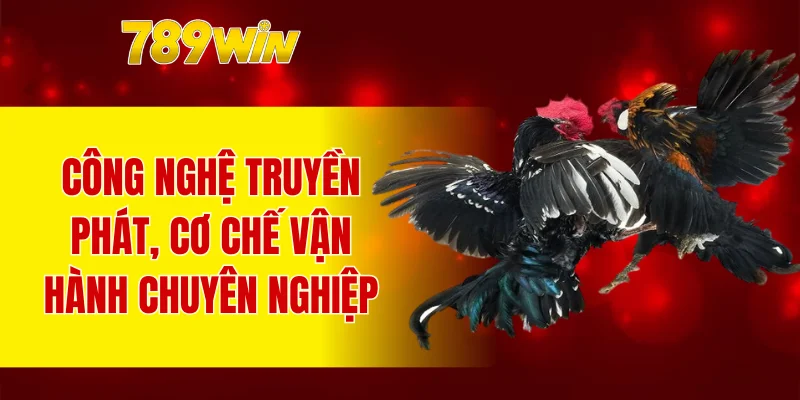 Công nghệ truyền phát, cơ chế vận hành chuyên nghiệp