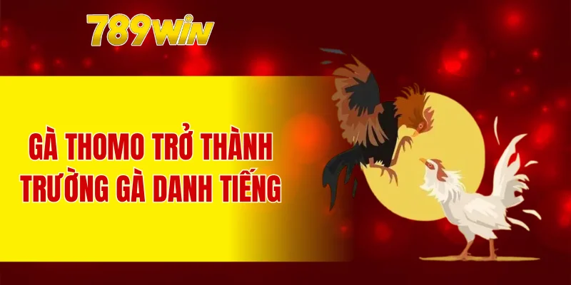 Gà Thomo trở thành trường gà danh tiếng