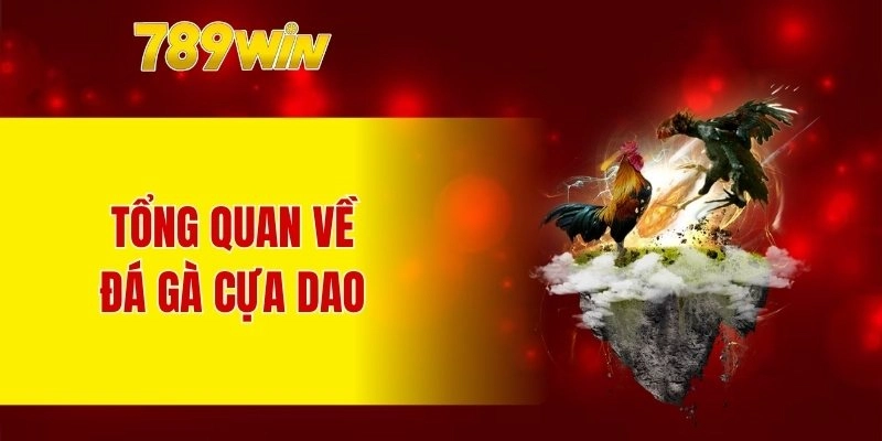 Tổng quan về đá gà cựa dao
